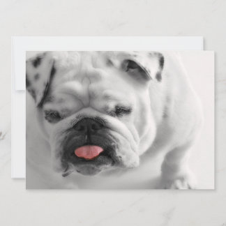 Convites Inglês Bulldog Puppy