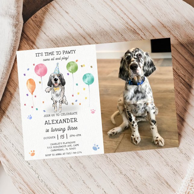 Convites Inglês Setter Pawty Dog Puppy Birthday Blue Foto (Criador carregado)