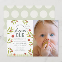Inseto De Amor, Ladybug Girl, primeiro aniversario