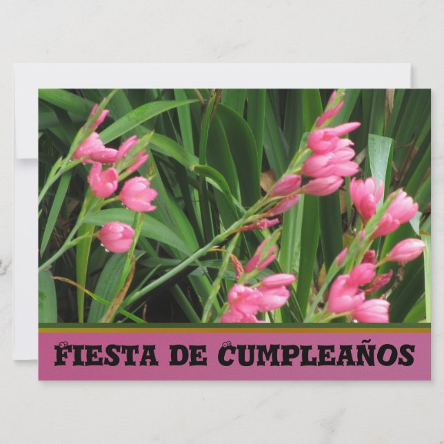 Convites Invitación - Festa de Cumpleaños (Frente)