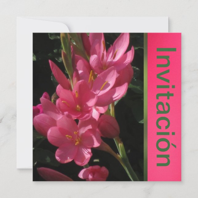 Convites Invitación - Festa de Cumpleaños - Rosa (Frente)