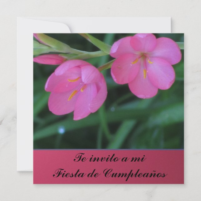 Convites Invito de Invitación - de Te um MI Festa de (Frente)