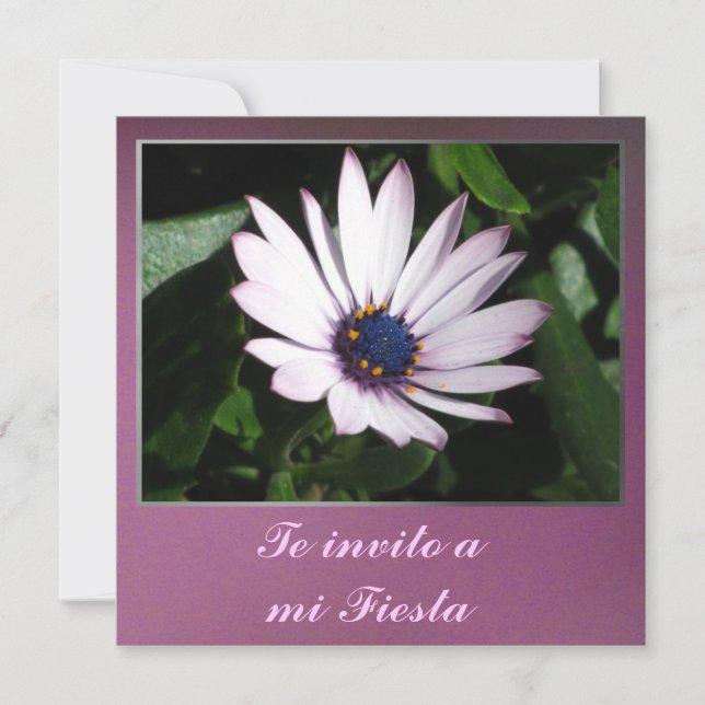 Convites Invito de Invitación - de Te uma festa do MI - (Frente)