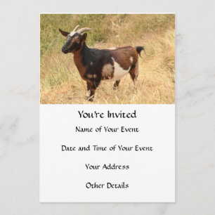 Convites Ir para Imagem