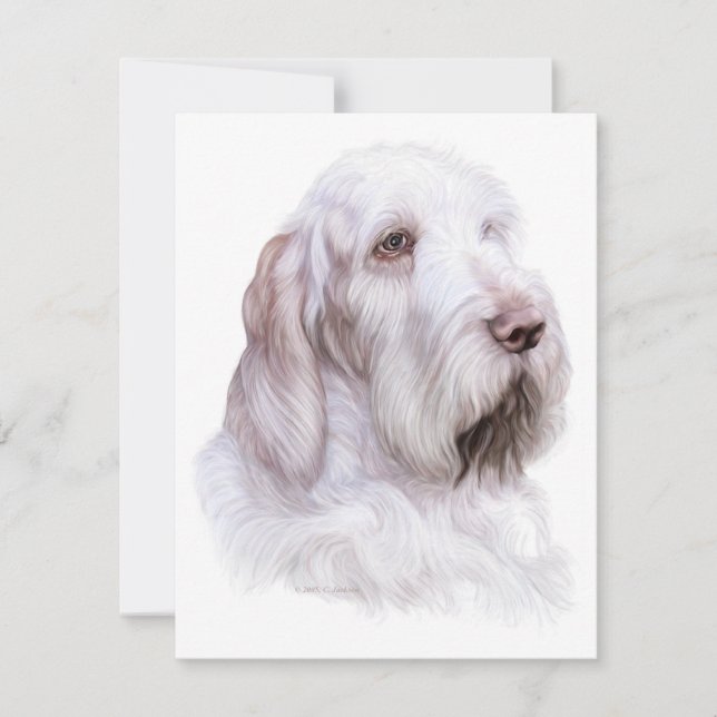 Convites Italiano Spinone Italiano (Frente)