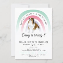 Já ouviu, Rainbow e Dog Aniversário?