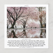 Jeremiah 29:11 - 14 GOD'S PROMISE SCRIPIX