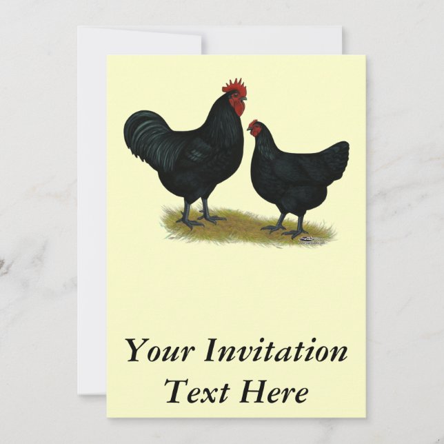 Convites Jersey Giant Chickens (Frente)