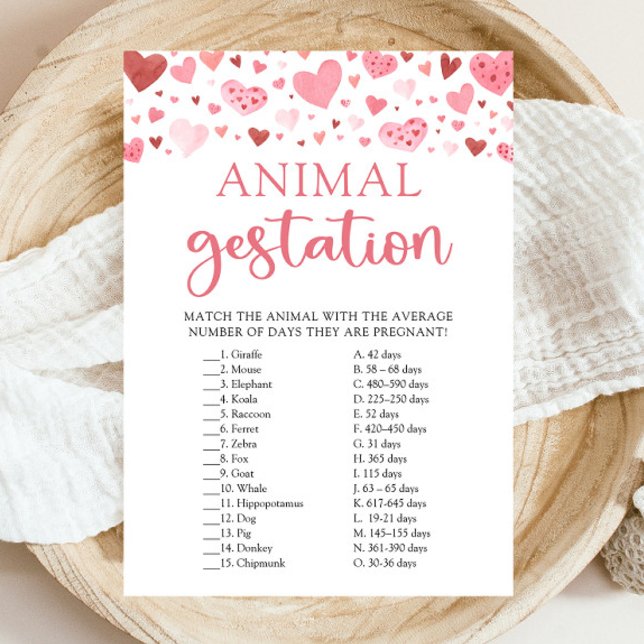 Convites Jogo de Gestação Animal para Chás de Bebê do Dia d (Watercolor Cute Pink Red Hearts Valentine A Little Sweetheart Girl Animal Gestation Baby Shower Game)