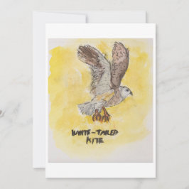Convites Kite Hawk Greeting Card