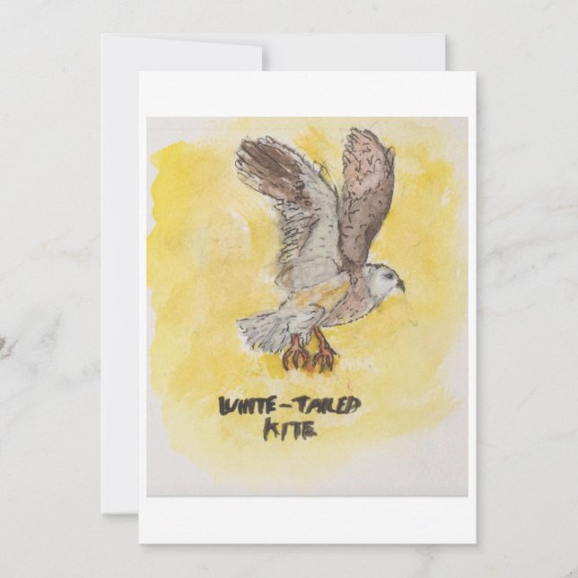 Convites Kite Hawk Greeting Card (Frente)