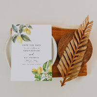 La Dolce Vita Lemon Citrus Salvar A Data