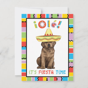 Convites Laboratório de Chocolate Fiesta