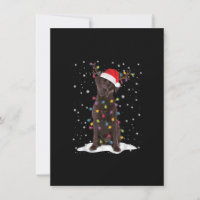 Laboratório de Chocolate Labrador Árvore de Natal