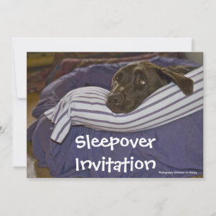 Convites Labrador Retriever Na Cama
