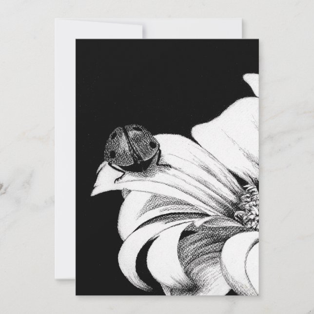 Convites Ladybird (Frente)