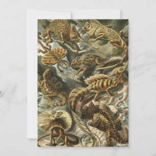 Convites Lagartos por Ernst Haeckel Lacertília Animal Vinta