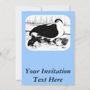 Convites Lahores 1980