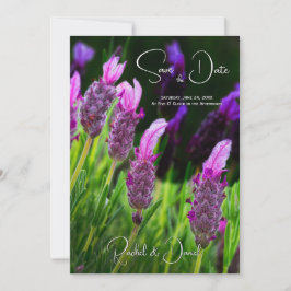 Convites Lavanda, Amor e Devoção, Casamento Salve a Data,