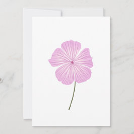 Convites Lavatera Rosa solteiro