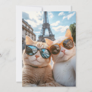 Convites Legal Gatos em Paris