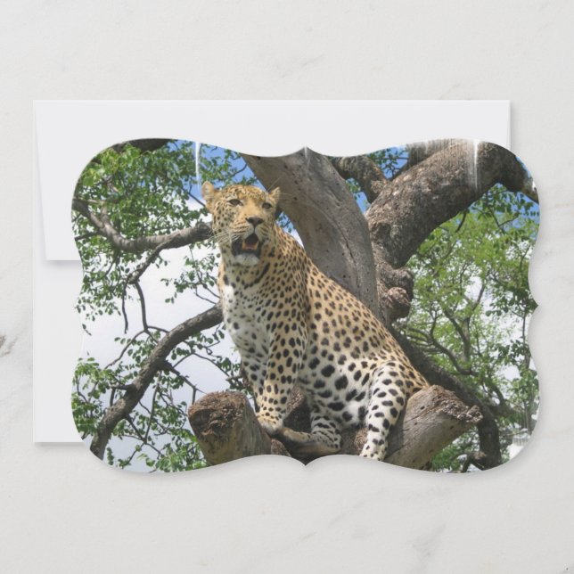 Convites Leopardo (Frente)