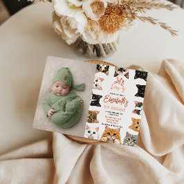 Convites Let's Pawty Cat 5th Birthday | photo Birthday Kid