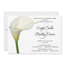Linda Calla Branca Lily Janto de Ensaio Floral