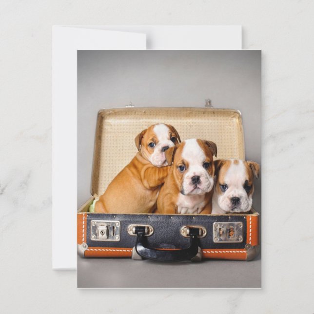 Convites Lindos Filhotes de Bulldog | Amante de Cachorro (Frente)