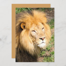 Convites Lion 6918 Aniversário