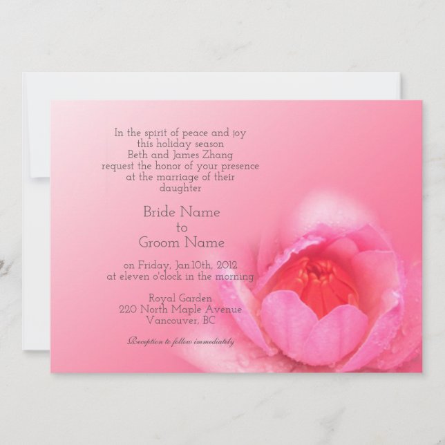 Convites lírio rosa em fundo rosa. 粉 红 色 睡 。 莲 (Frente)