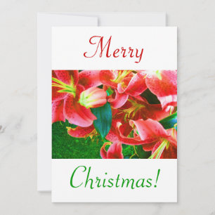 Convites Lírios Natal III