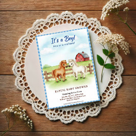 Convites Little Pony Baby Boy Shower Gingham Invitation