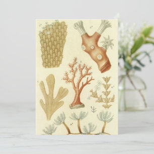 Convites Livro Didático de Ciências Biologia, Animais de Co