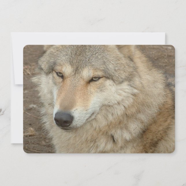 Convites Lobo (Frente)