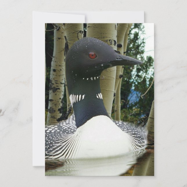 Convites Loon Wilderness (Frente)