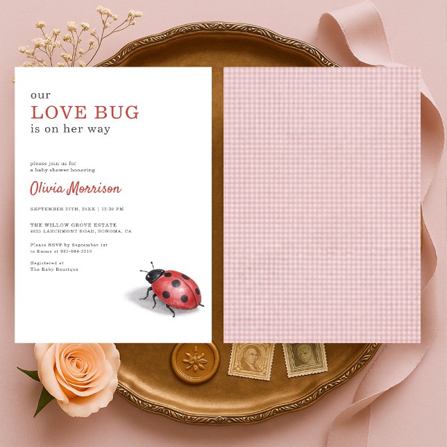 Convites Love Bug Ladybug Xadrez Baby Shower (Criador carregado)