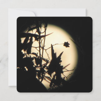 Convites Love in the Moonlight shimmer