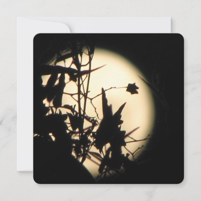 Convites Love in the Moonlight shimmer (Frente)