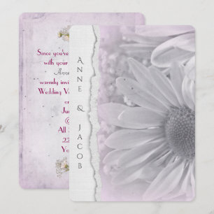 Convites macro de margarida rosa pálido em papel de borda 