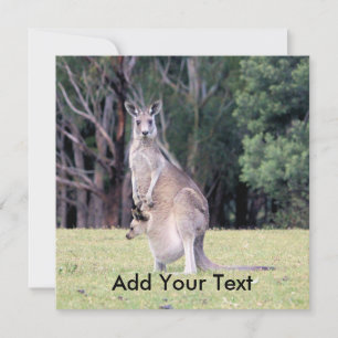 Convites Mãe Kangaroo com Bebê Joey em sua bolsa