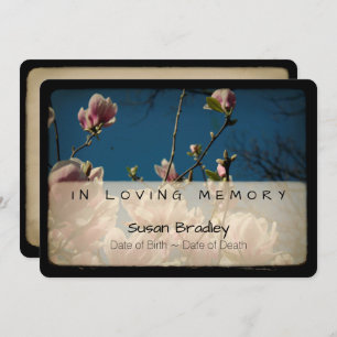 Convites Magnolia Vintage Memorial Simpatia Obrigado 7