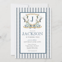 Mallard Duck Aniversário, Southern Mallard