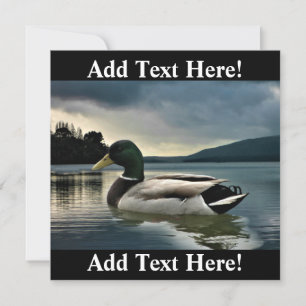Convites Mallard Duck No Lago