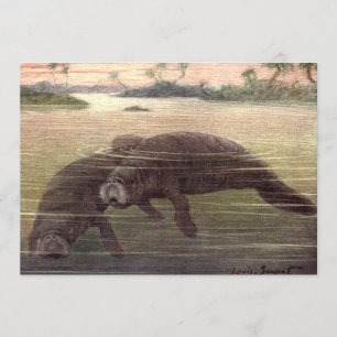 Convites Manatis ou Vacas Marinhas Antigas, Mamíferos Marin