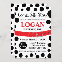 Manchas Dalmáticas Sentam-Se Ficam Cachorros Anive