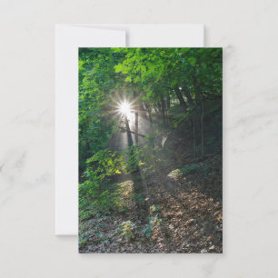 Convites Manhã Sunbeams no Parque Kaposia