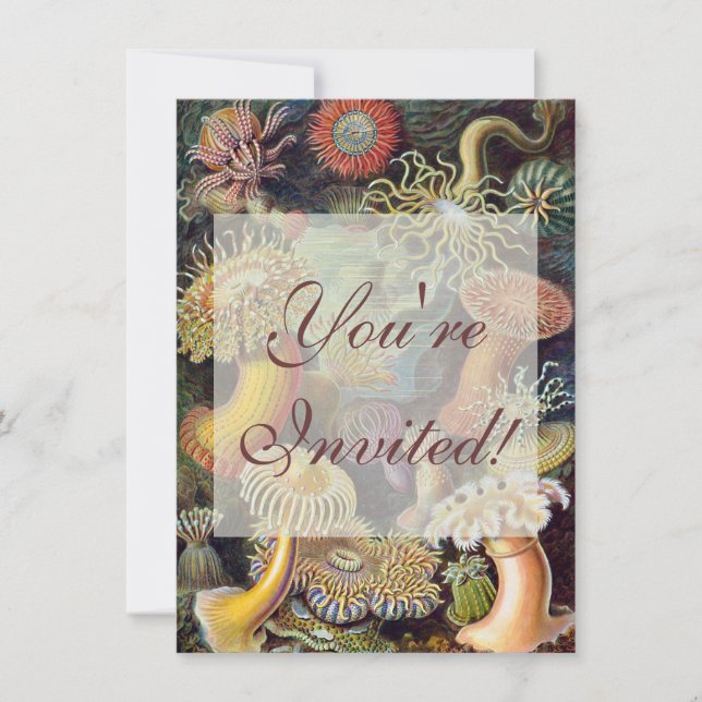 Convites Mar Anêmona Natureza Científica Oceânica (Frente)