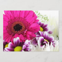 Margarida cor-de-rosa do Gerbera