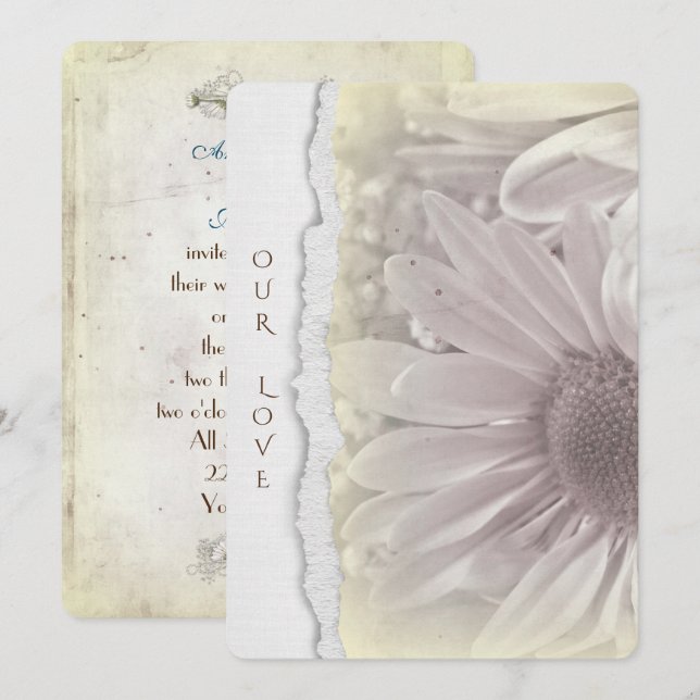 Convites margarida de casamento em amarelo macio com borda  (Frente/Verso)